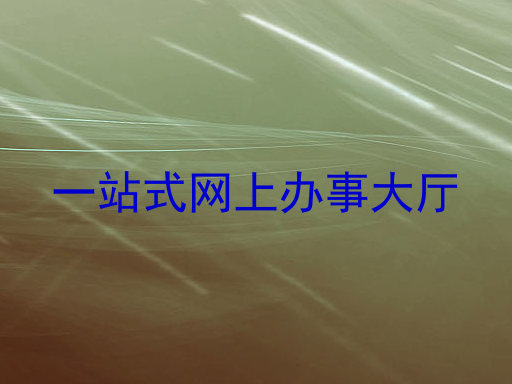 一站式网上办事大厅