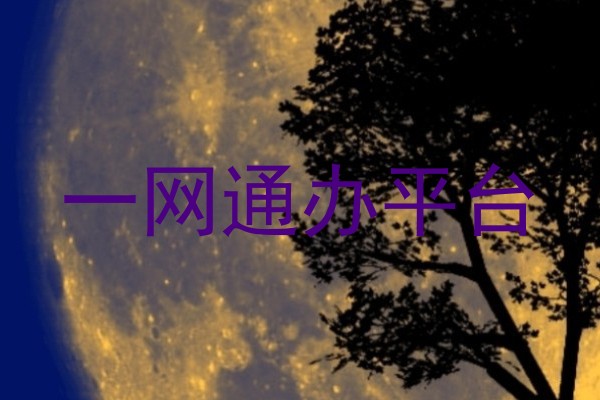 一网通办平台