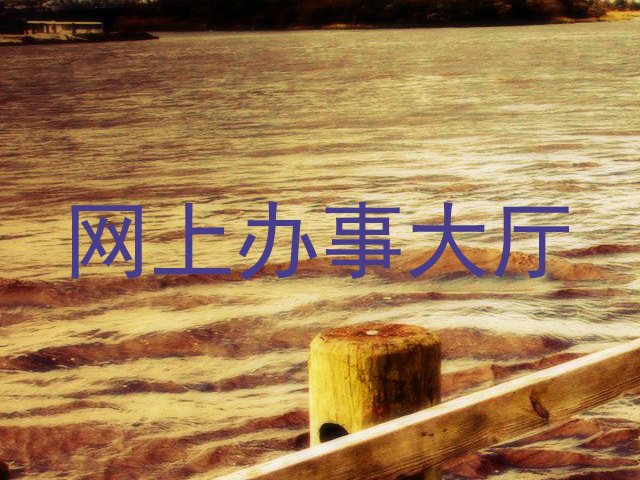 网上办事大厅