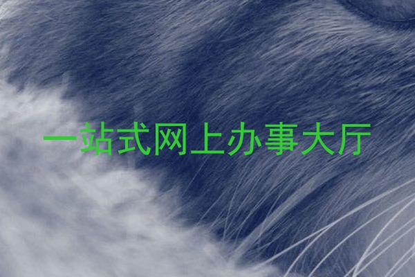 一站式网上办事大厅