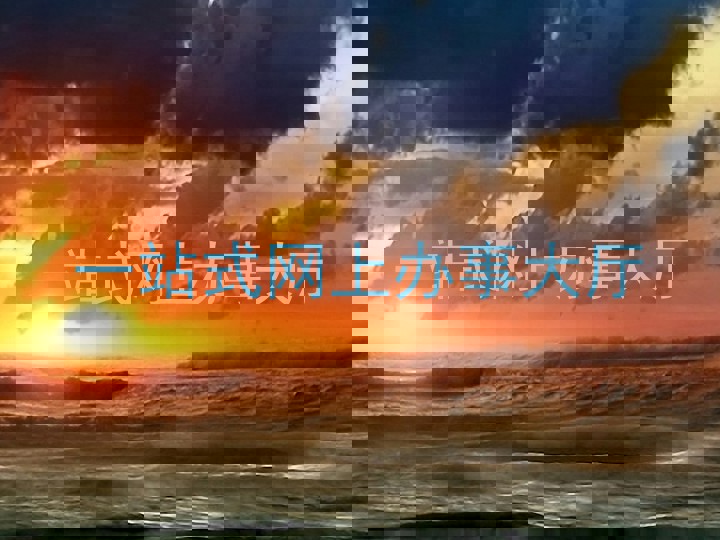 一站式网上办事大厅