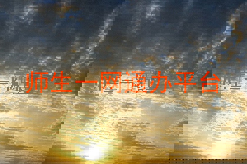 师生一网通办平台