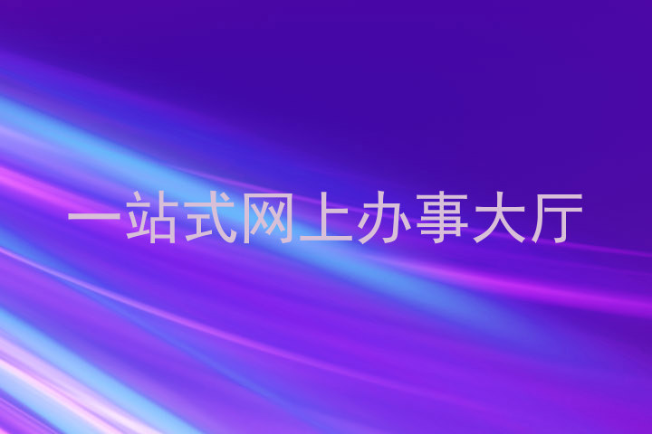 一站式网上办事大厅