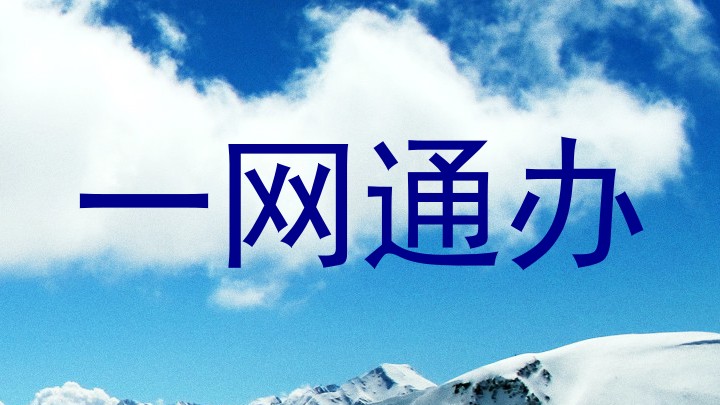 一网通办