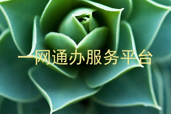 一网通办服务平台