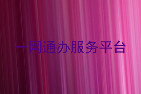 一网通办服务平台