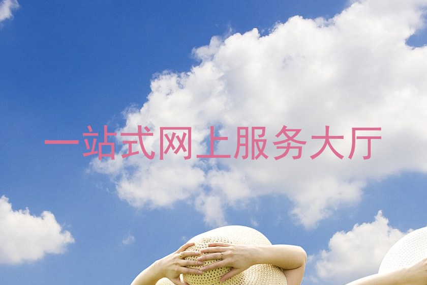 一站式网上服务大厅