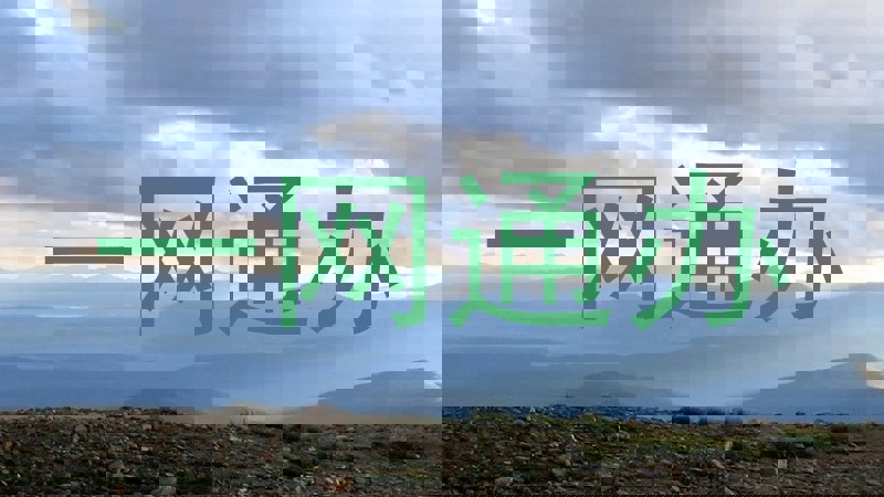 一网通办