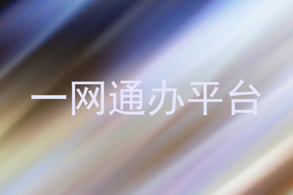 一网通办平台