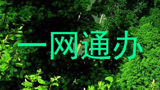 一网通办
