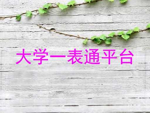 大学一表通平台