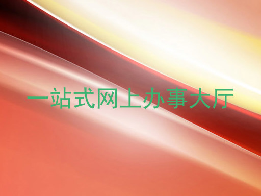 一站式网上办事大厅