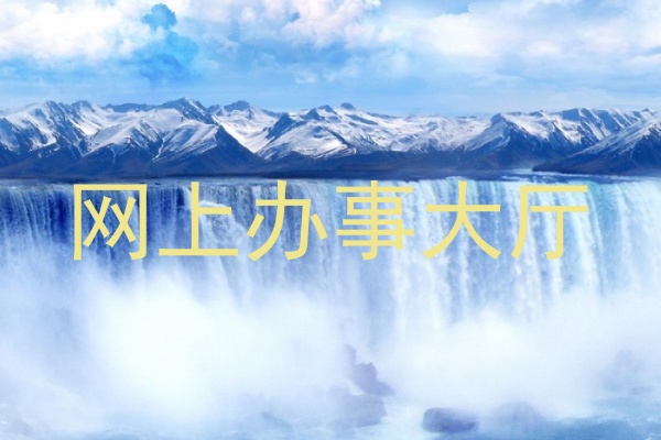 网上办事大厅