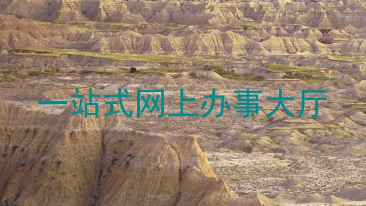 一站式网上办事大厅