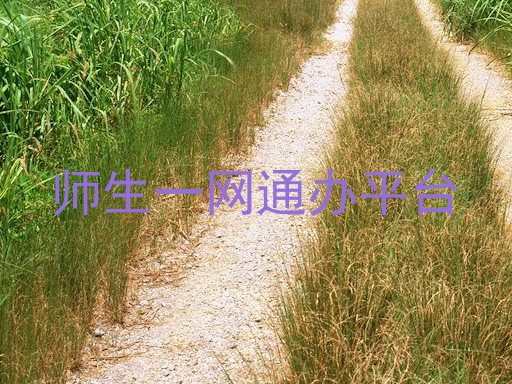 师生一网通办平台