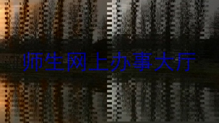 师生网上办事大厅
