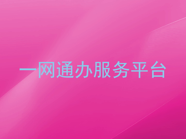 一网通办服务平台
