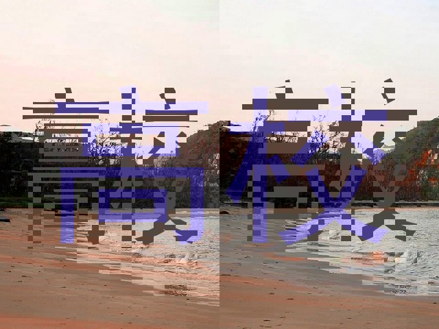 高校