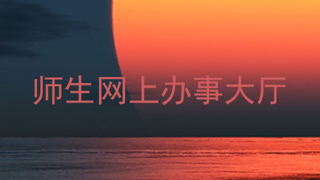 师生网上办事大厅