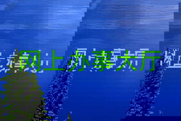 网上办事大厅