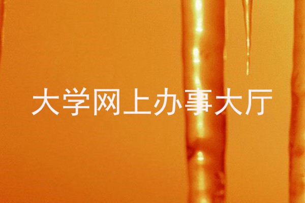 大学网上办事大厅