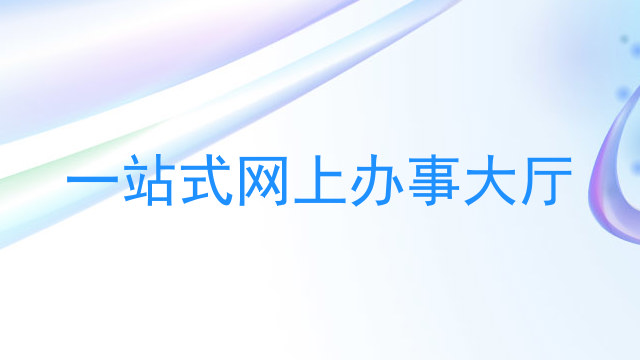 一站式网上办事大厅