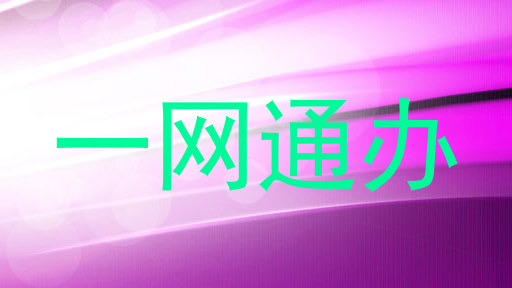一网通办
