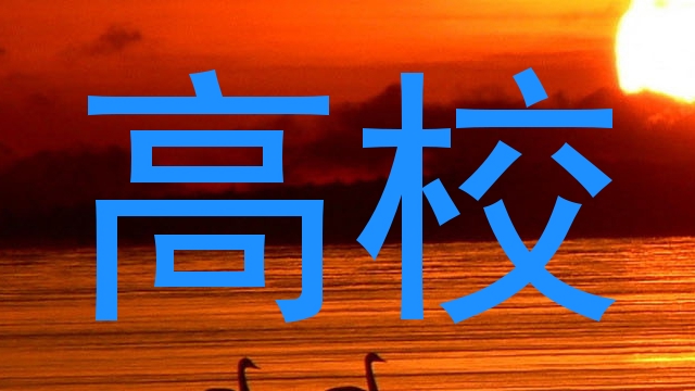 高校