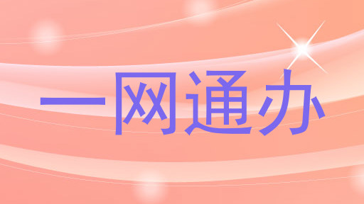 一网通办