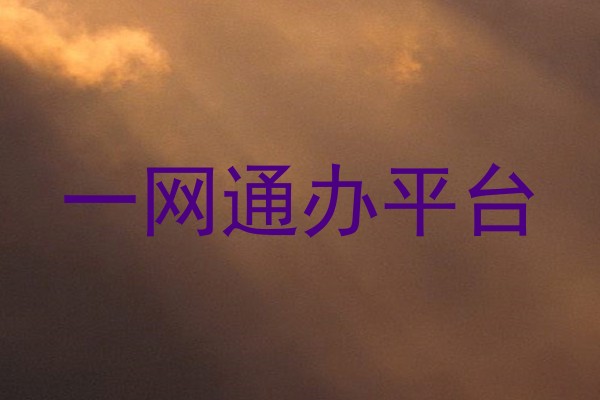 一网通办平台