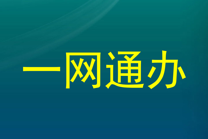 一网通办