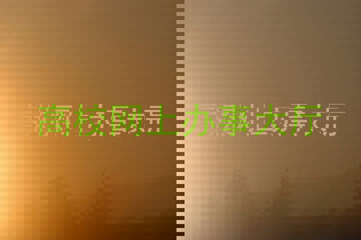 高校网上办事大厅