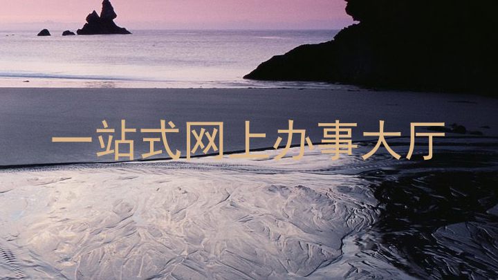 一站式网上办事大厅