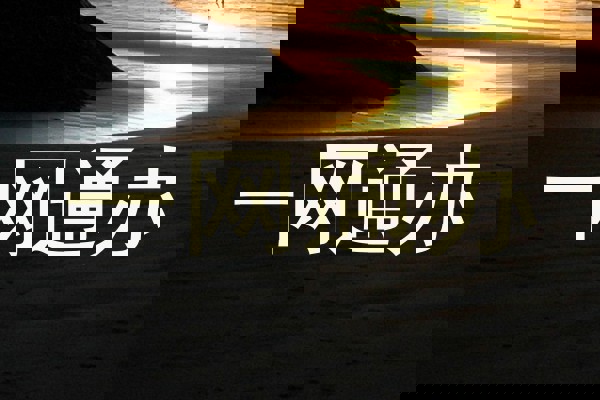 一网通办