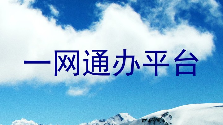 一网通办平台