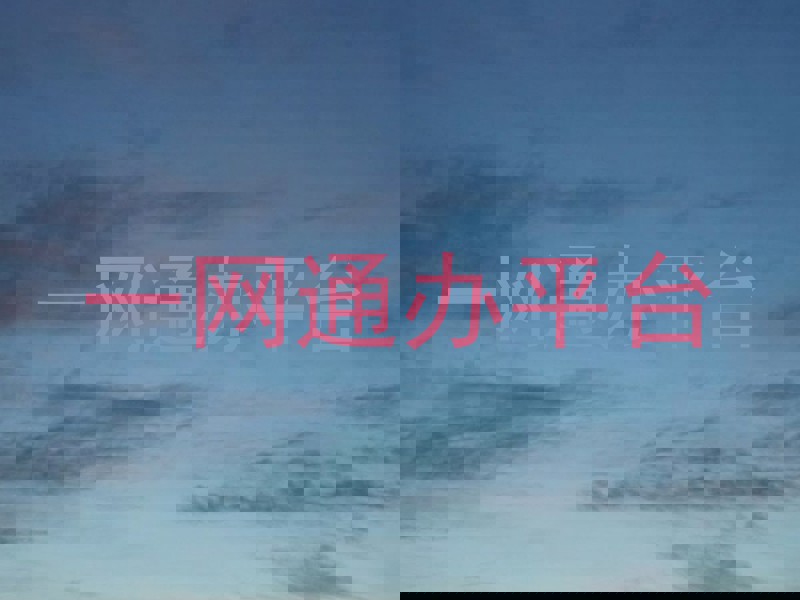 一网通办平台