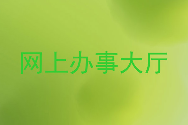 网上办事大厅