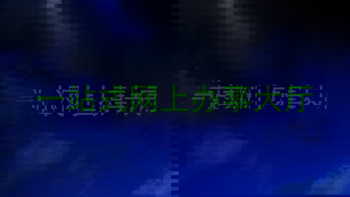 一站式网上办事大厅