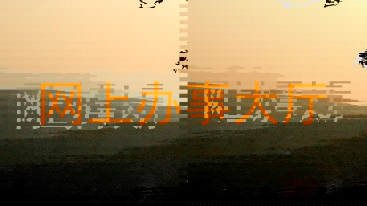 网上办事大厅
