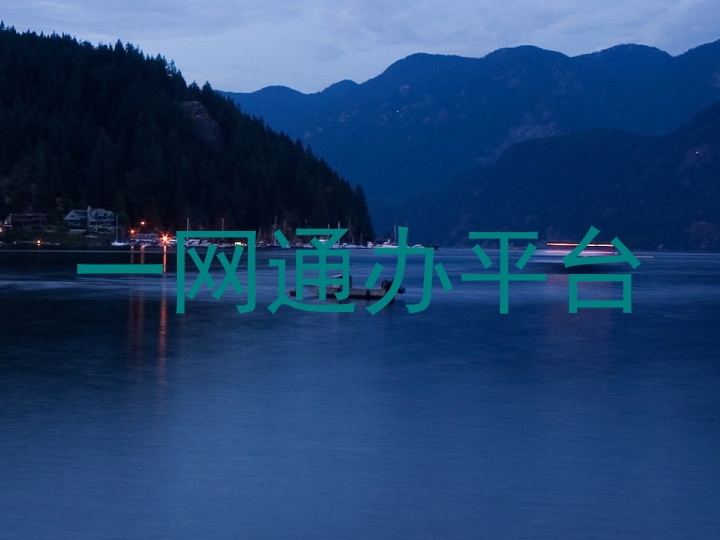 一网通办平台