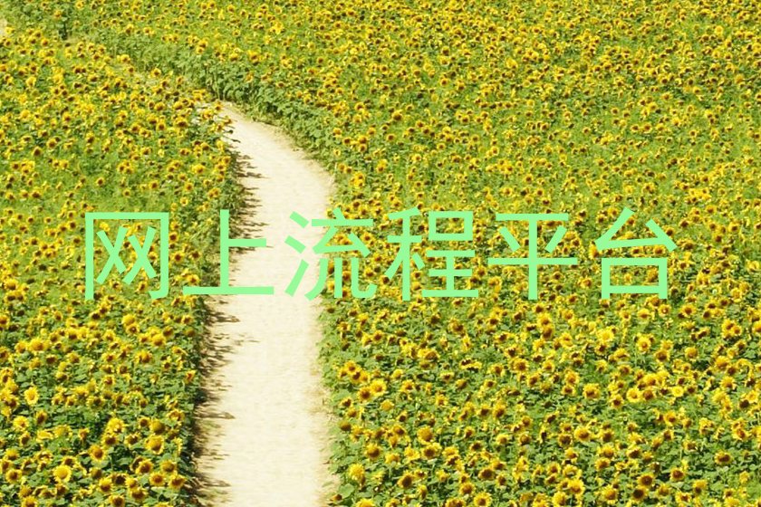 网上流程平台
