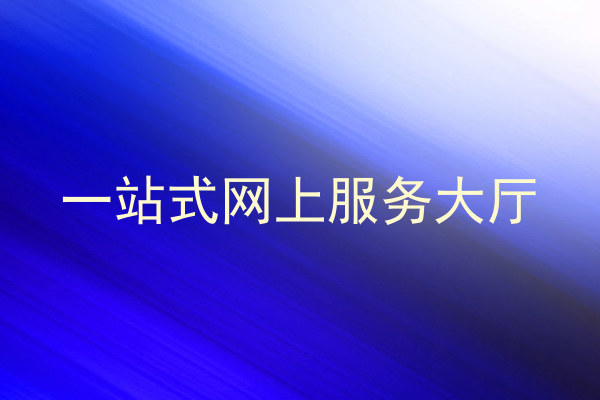 一站式网上服务大厅