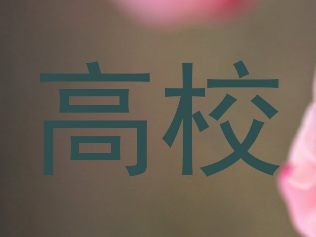 高校