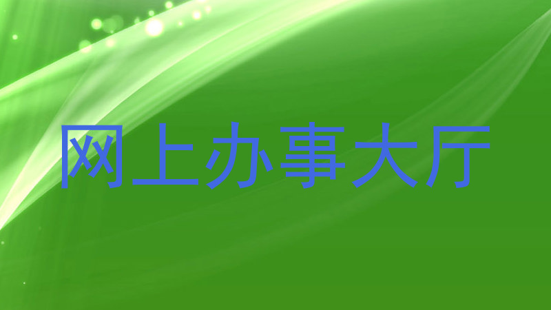 网上办事大厅