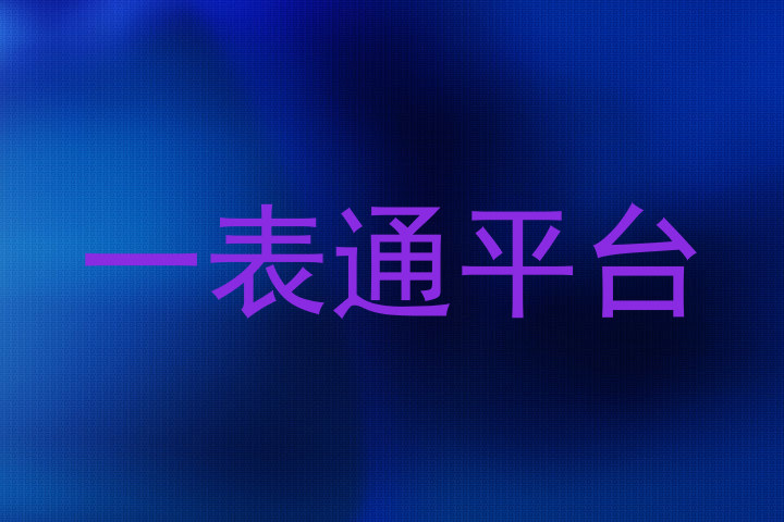 一表通平台