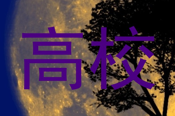 高校