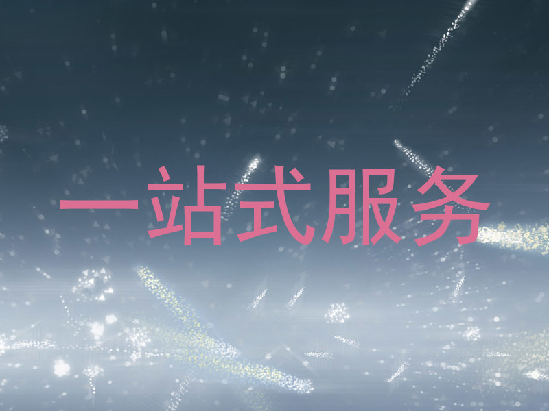 一站式服务