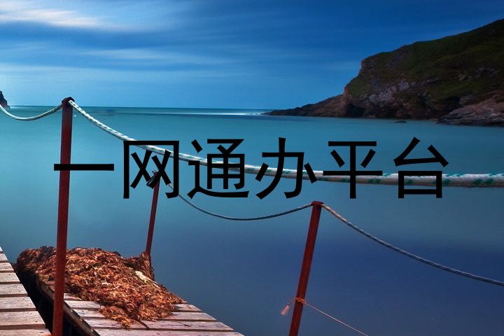 一网通办平台