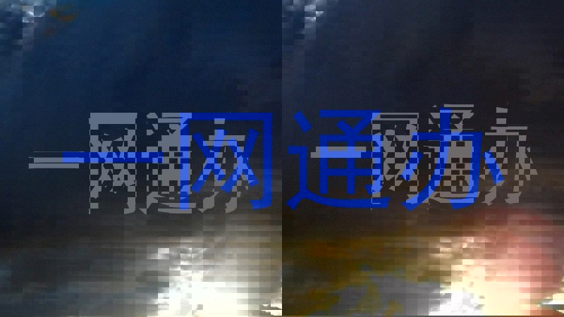 一网通办