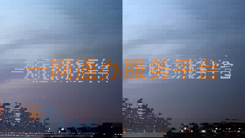 一网通办服务平台